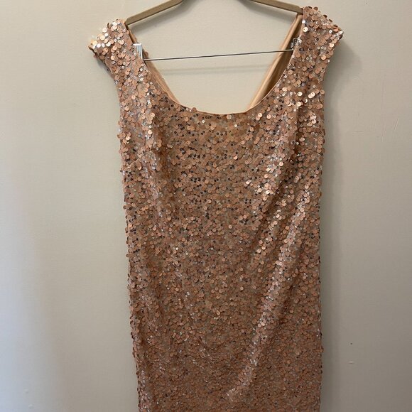 champagne Sequin Dress - Picture 4 of 5